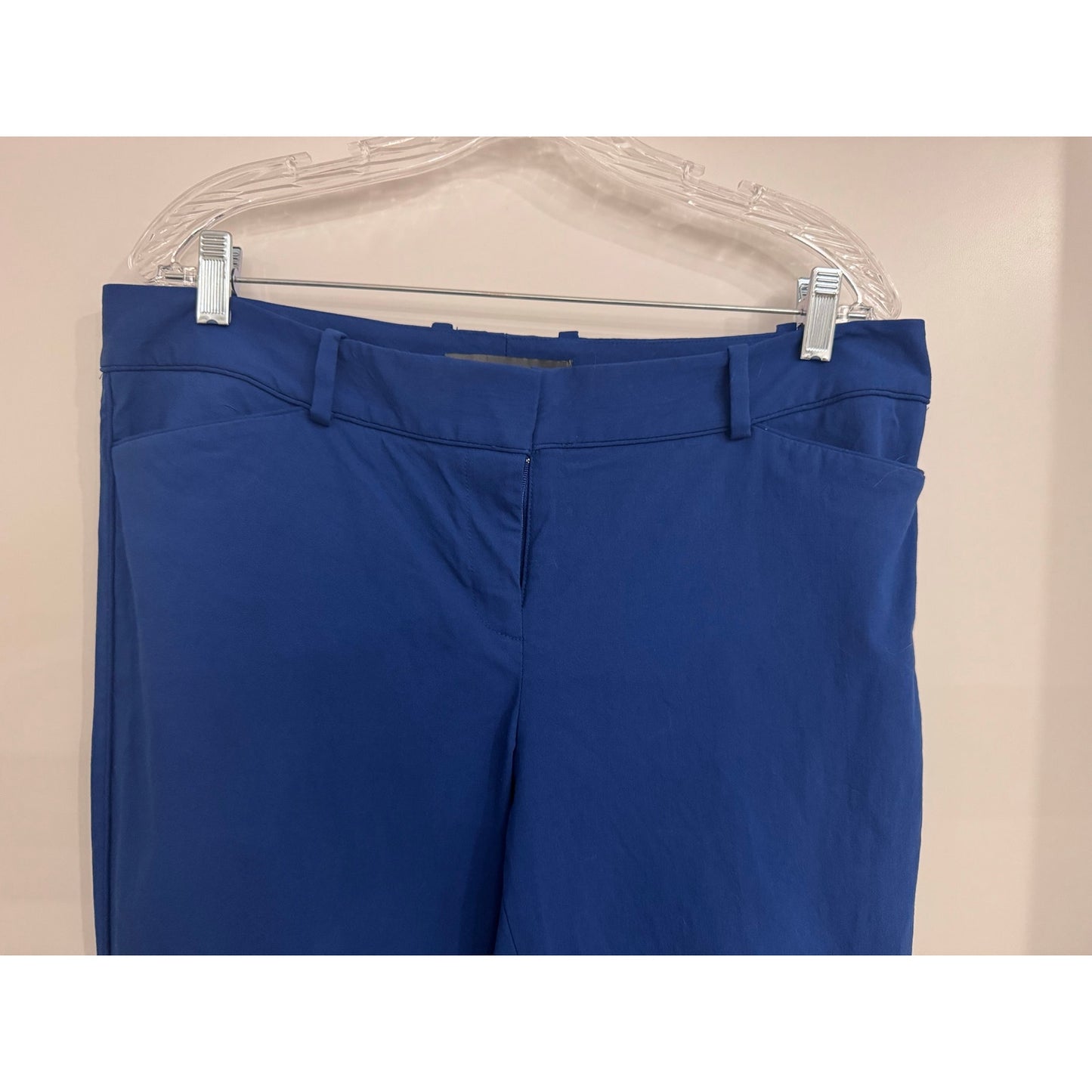 The Limited Exact Stretch Blue Ankle Pants Size 14 Work Career Stretch Slim