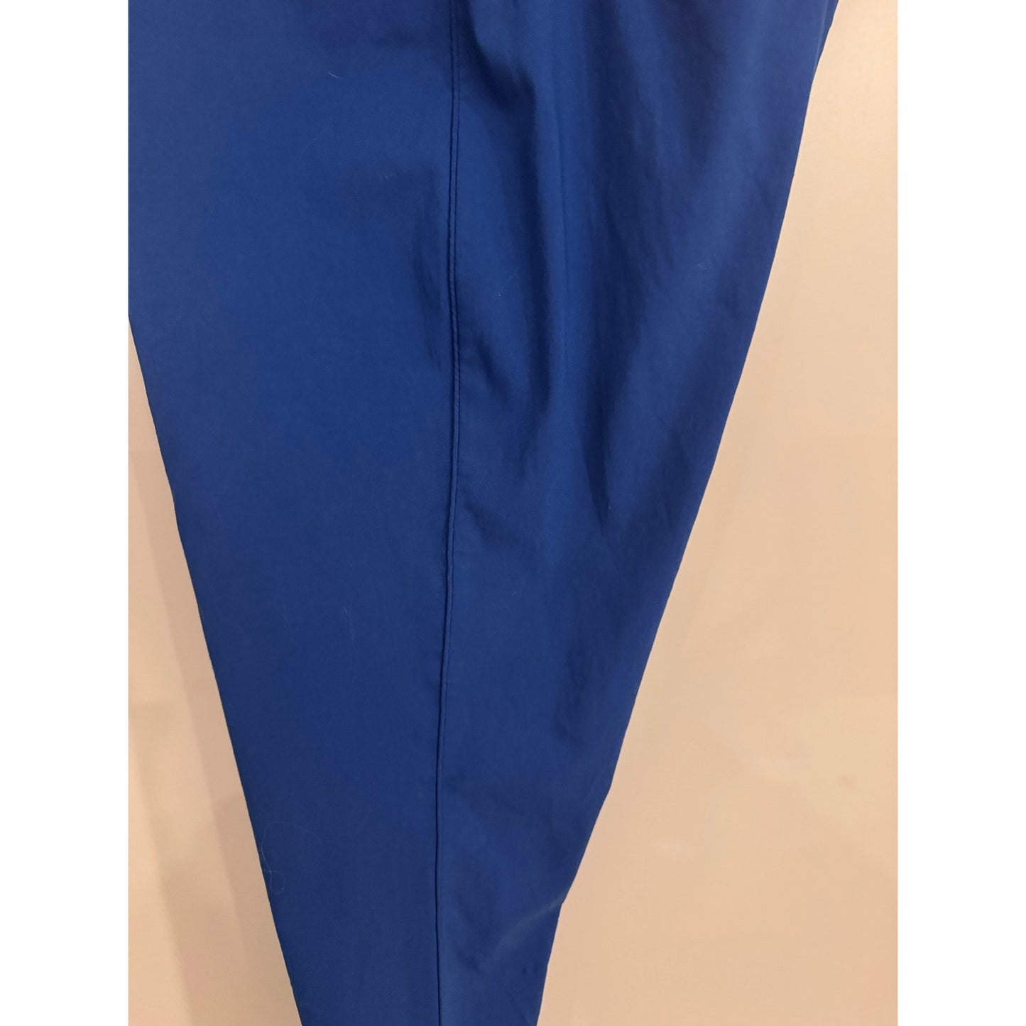 The Limited Exact Stretch Blue Ankle Pants Size 14 Work Career Stretch Slim