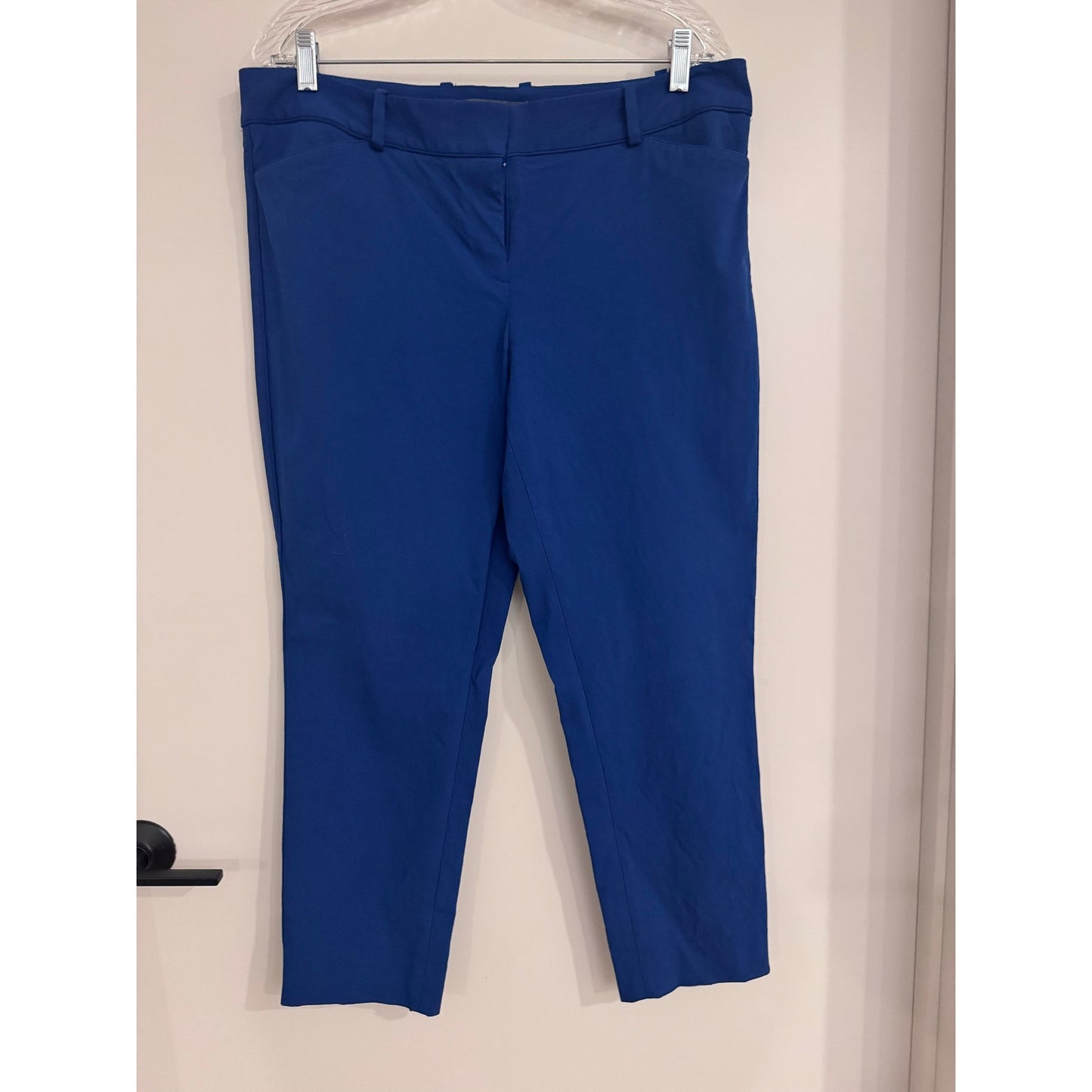 The Limited Exact Stretch Blue Ankle Pants Size 14 Work Career Stretch Slim